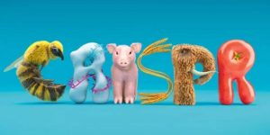 CRISPR verspricht neue Möglichkeiten gegen Aids, Krebs und eine Reihe von Erbkrankheiten