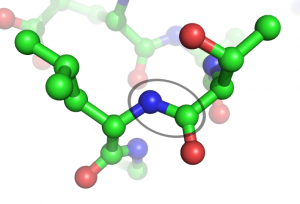 Peptide mit Mehrfachwirkung